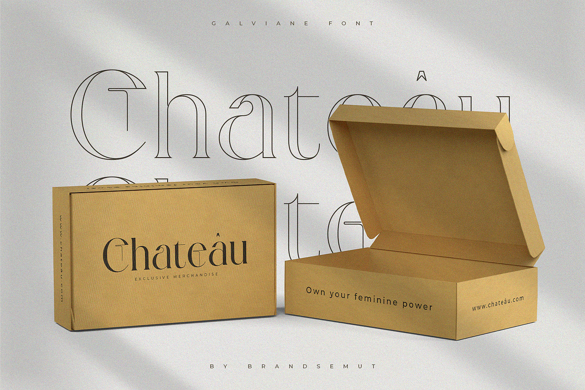 Galviane – Artistic Modern Serif, a Serif Font by BrandSemut (Photo 5 of 10)
