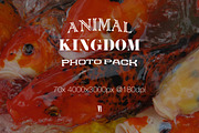 Animal Kingdom Photo Pack V1 preview 4