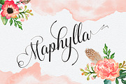 Calligraphy Big Bundle (95%off), a Script Font by groens (Thumbnail 32 of 46)