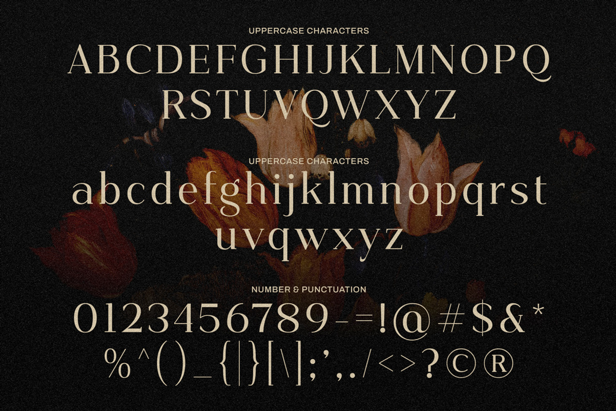 Kofdoh Elegant Serif Font Family, a Serif Font by kangfont Studio (Photo 7 of 10)
