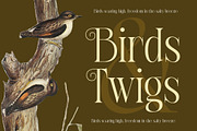 Exago Maona Vintage Serif Display, a Serif Font by timelesstype.co (Thumbnail 14 of 20)