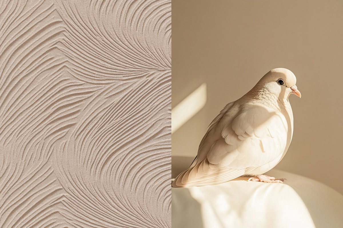 Neutral aesthetic - 255 images, a Beauty & Fashion Photo by Handmadefont (Photo 22 of 31)