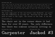 403 Obrinda - Serif Mono, a Serif Font by 403 Type Foundry (Thumbnail 4 of 15)