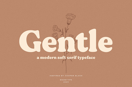 MADE Gentle, a Serif Font by MadeType
