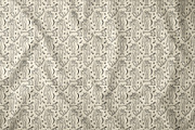 Dracula Bundle, an Object Illustration by Annie Konst (Thumbnail 10 of 18)