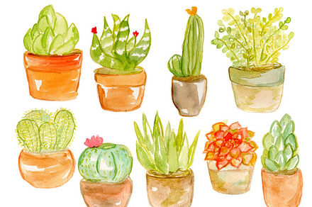Watercolor Potted Succulents