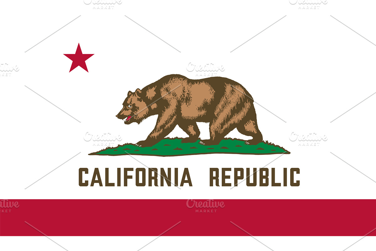 California US State Vector, an Illustration by megastocker