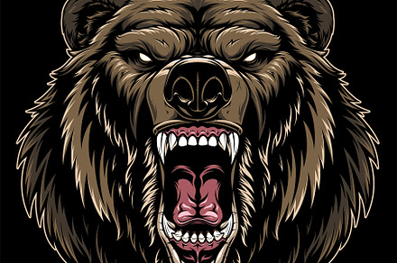 Head Bear, an Animal Illustration by Mark2000