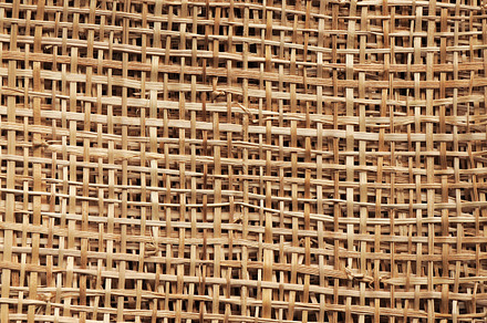 Reed texture featuring abstract, background, and brown