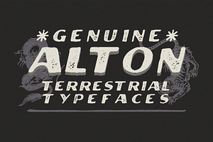Alton - Terrestrial Typefaces