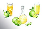 Lime citrus. Watercolor collection, a Food Illustration by Daria Ustiugova (Thumbnail 14 of 21)