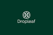 Dropleaf – Modern Nature Logo Design, a Branding & Logo Template by arhabib (Thumbnail 10 of 13)