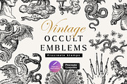 Procreate Occult Emblems Stamps, a Brush Add-On by Century Library (Thumbnail 1 of 10)