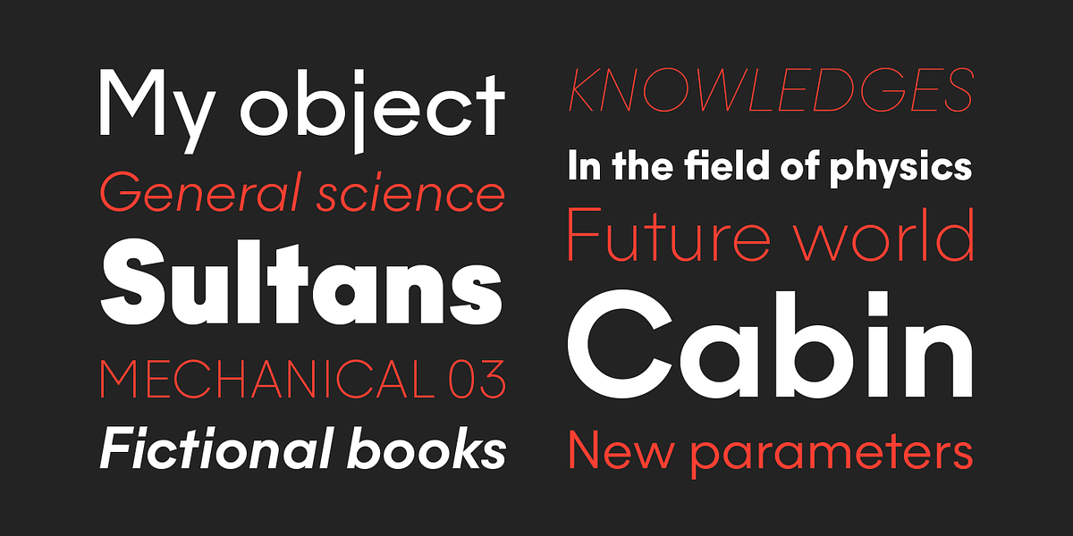 Majorant, a Sans Serif Font by Emtype Foundry (Photo 13 of 14)