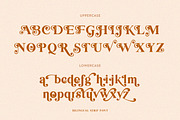Bilingual Serif Font Duo, a Serif Font by Salt & Pepper Designs (Thumbnail 10 of 13)