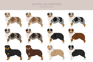 Australian Shepherd Dog Clipart