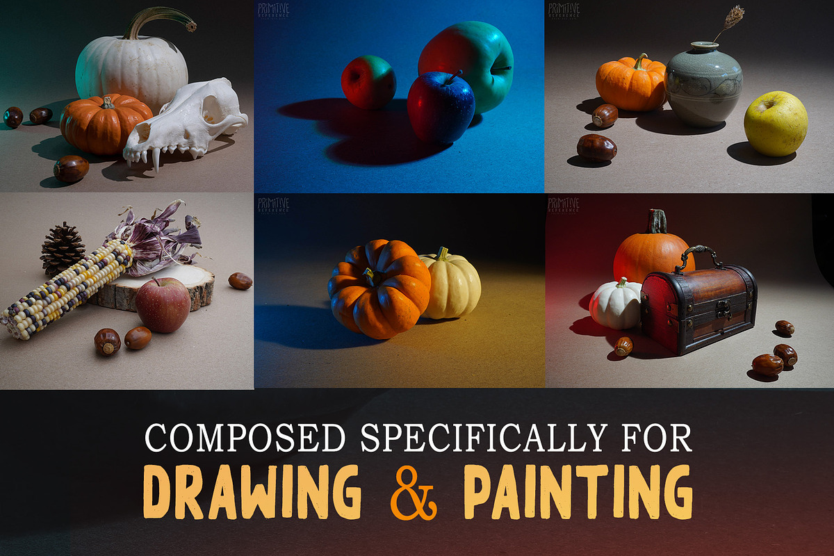 Autumn Themed Still Life Reference, a Holiday Photo by Lane Draws (Photo 2 of 6)