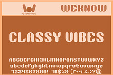 Classy Vibes font