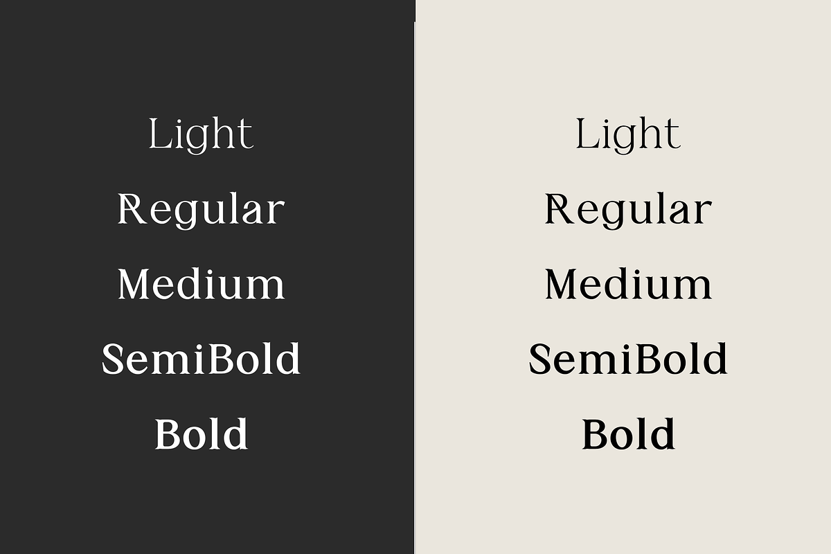 ELIRA | Modern Elegant Serif, a Serif Font by The Gelato Type (Photo 11 of 12)
