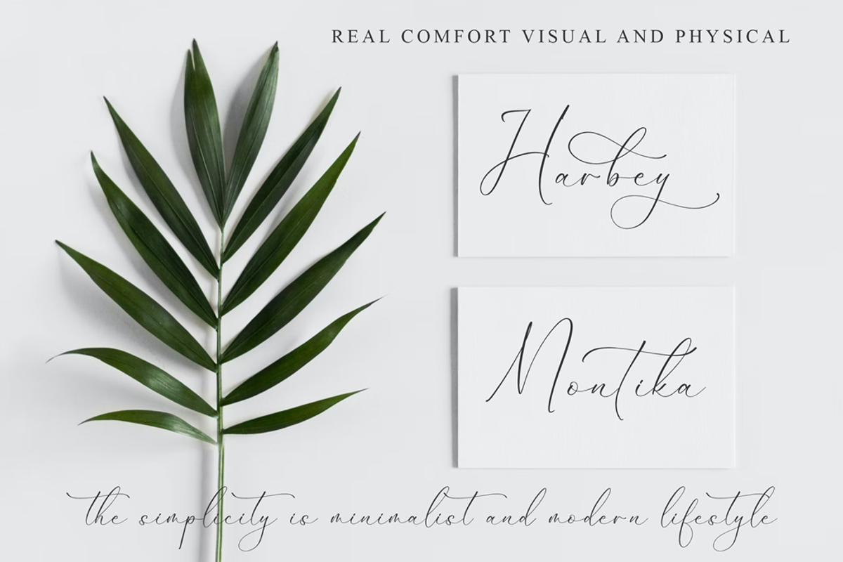 Dilanda Merlinmota Beauty Script, a Script Font by Storytype Studio (Photo 6 of 12)