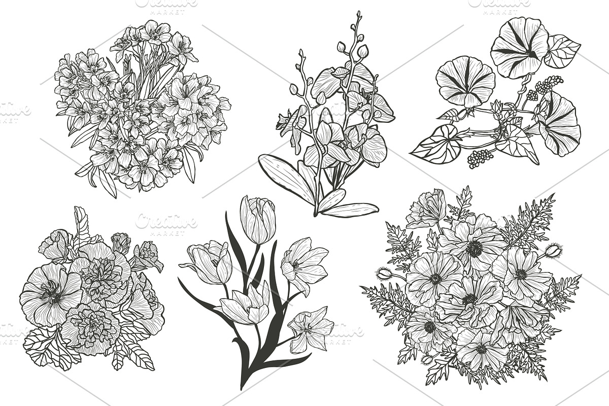 33 Floral Bouquets Set, a Decorative Illustration by Sunset&Sea Design (Photo 2 of 6)