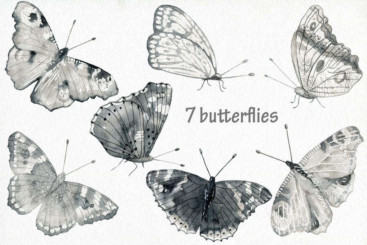 Butterflies and floral collection., an Illustration by TaPilipa (Photo 2 of 13)