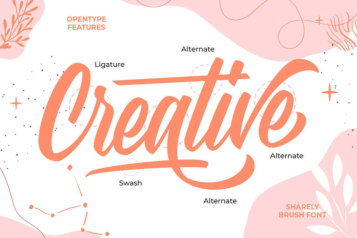 SALE! Sharely - Beautiful Brush Font, a Script Font by Arterfak Project (Photo 8 of 12)