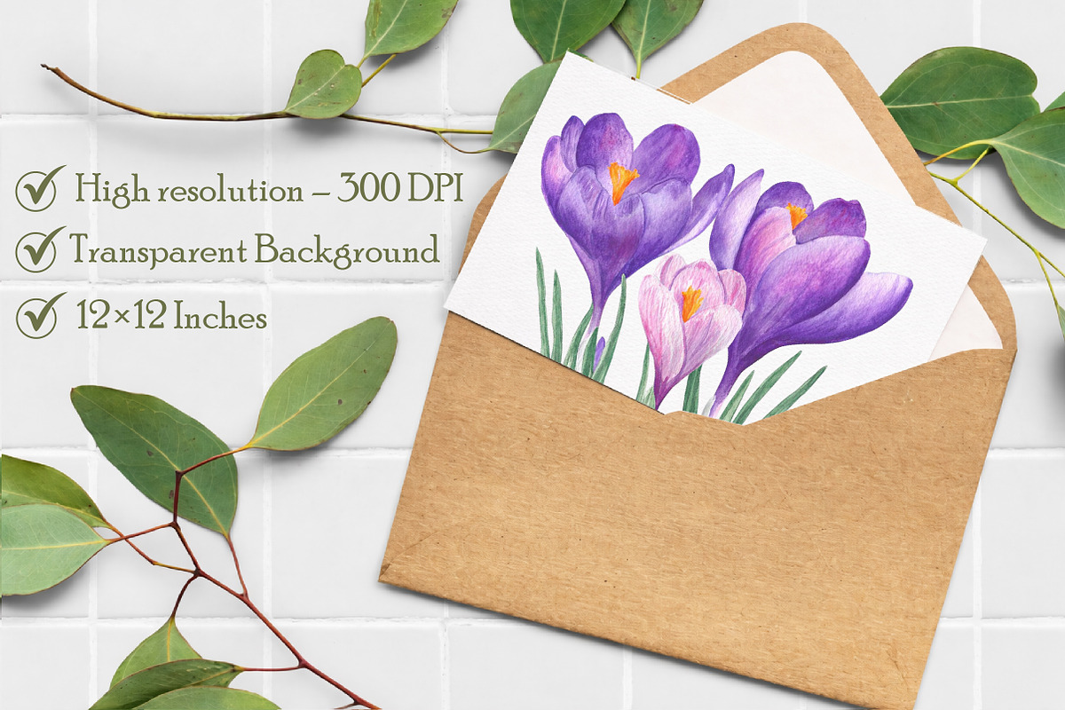 Watercolor Crocuses Clipart, an Illustration by Libby Wishes (Photo 3 of 7)