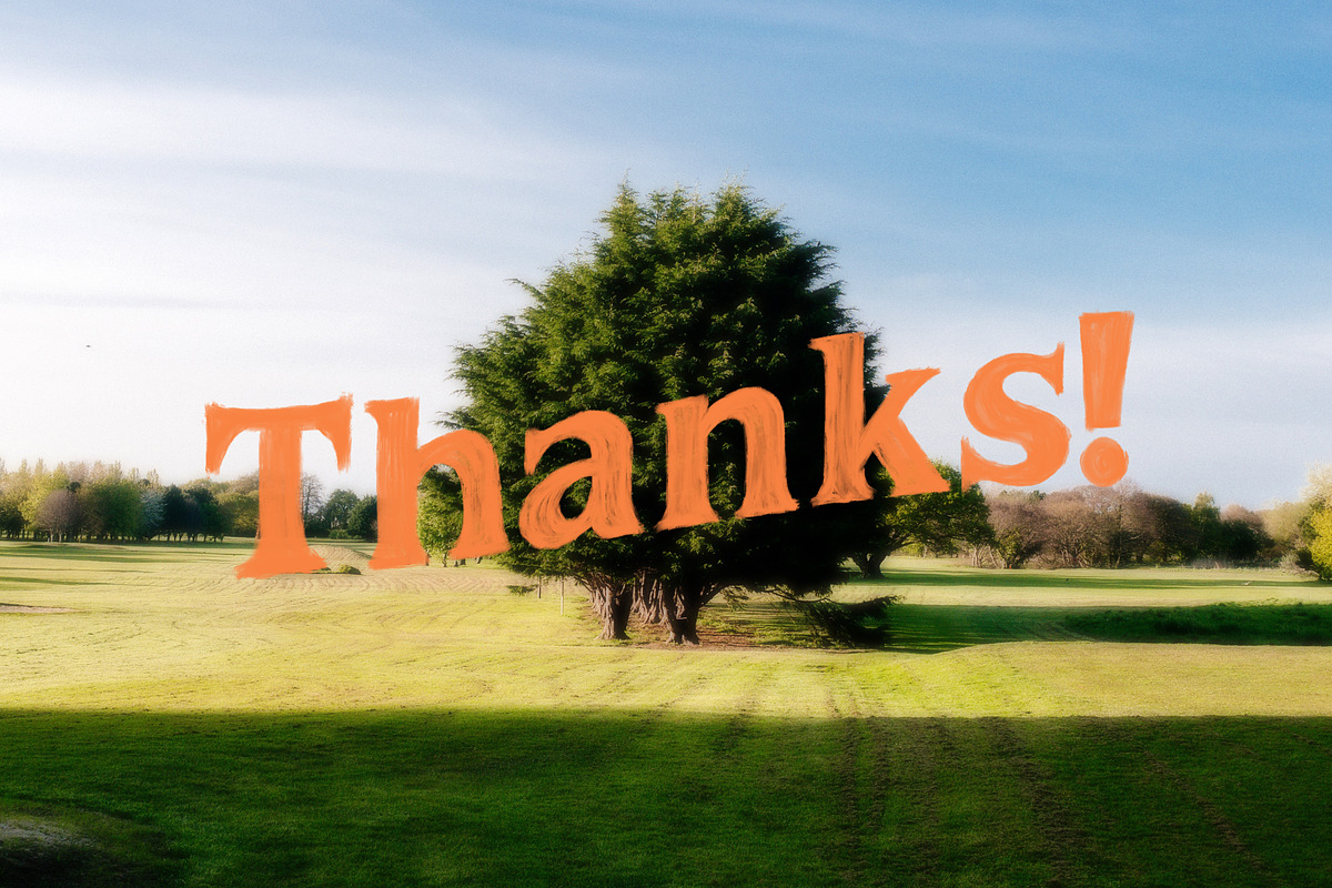 Good Vibrations | Opentype SVG Font, a Serif Font by Ryn Pojas (Photo 9 of 9)