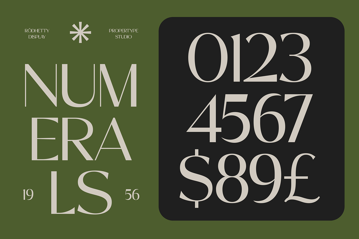 Rodhetty, a Sans Serif Font by Propertype (Photo 14 of 16)