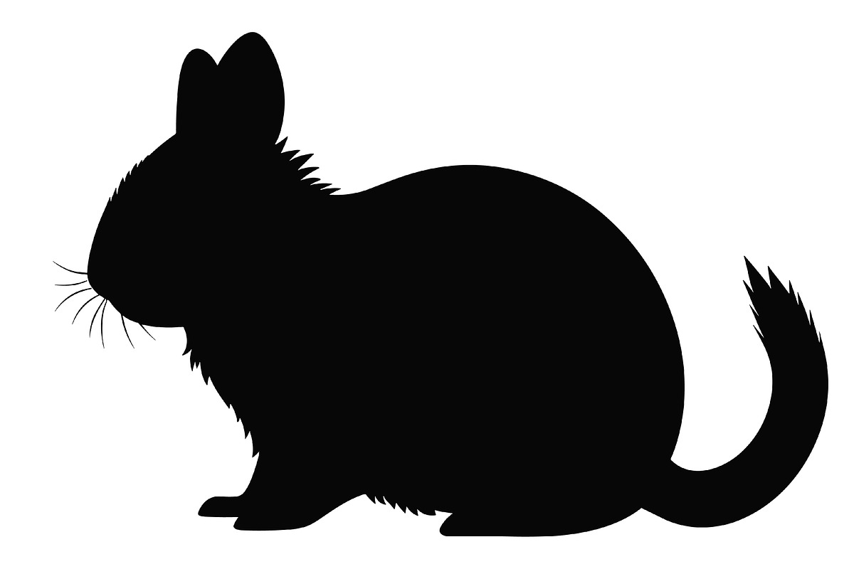 Chinchilla Silhouette PNG Clipart, an Animal Illustration by Gfx Expert Team (Photo 3 of 3)