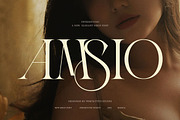 Amsio Elegant Serif Font, a Serif Font by Perfectype (Thumbnail 1 of 8)