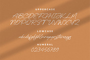 Rinatha, a Script Font by Integritype Studio (Thumbnail 2 of 15)