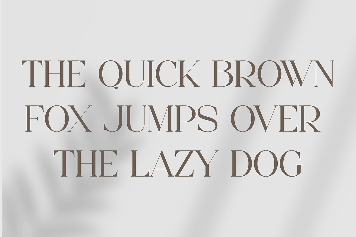Colgan - Stylish Serif Font, a Serif Font by Aqeel_Art (Photo 10 of 12)