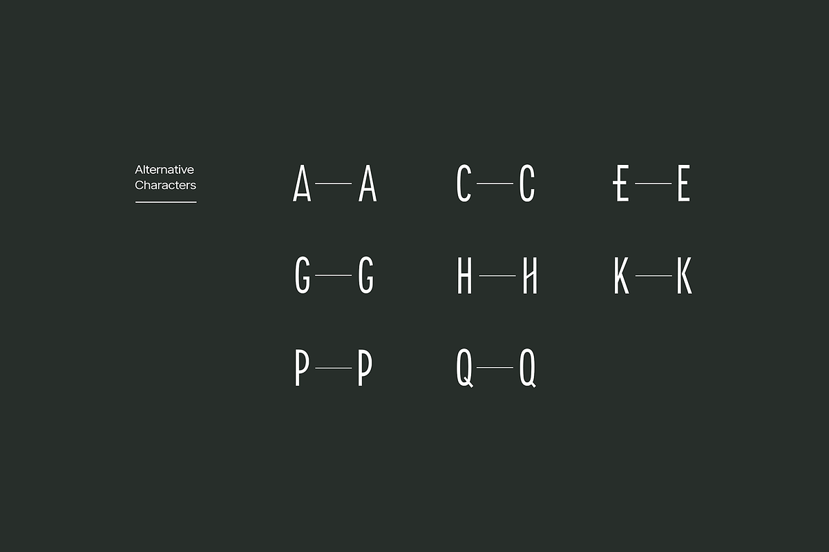 FREIGEL - Unique Display Font Family, a Sans Serif Font by Designova® (Photo 6 of 10)
