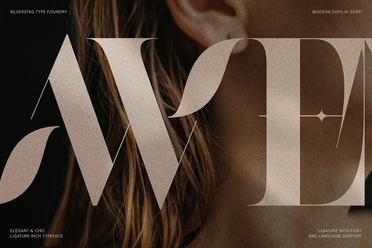 Raving Display Editorial Serif Font, a Serif Font by SilverStag Type Foundry (Photo 15 of 30)