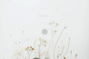 Wildflowers & Greenery Backgrounds, a Background Graphic by Anna Sokol (Thumbnail 10 of 12)