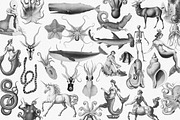Fantastique Vector Archives, an Object Graphic by CarmineType (Thumbnail 14 of 14)