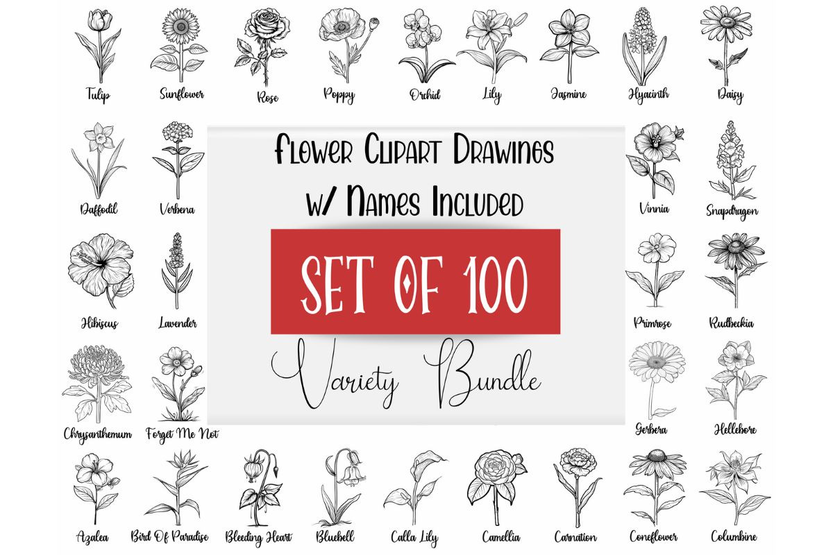 100 Single Flower Designs with Names
