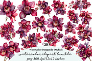 Watercolor Burgundy Orchids Clipart, an Illustration by Digital Artistic99 (Thumbnail 1 of 9)