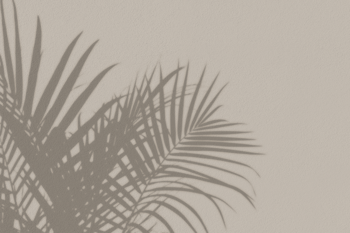 60 Shadow Overlay Pack | PSD + PNG, a Product Mockup by GRPXSTORE (Photo 12 of 17)