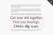 Bearings Regular, a Font by Sam Vickars* (Thumbnail 4 of 4)