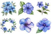 Periwinkle Flower Watercolor Clipart, an Illustration by Watercolor design (Thumbnail 3 of 3)