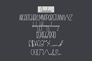 Skinny Goose Font, a Sans Serif Font by Dancing with Ink (Thumbnail 19 of 19)