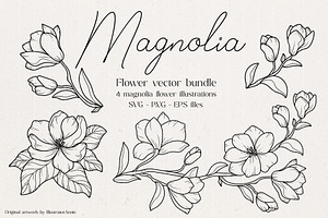 Magnolia Flower Vector Illustration