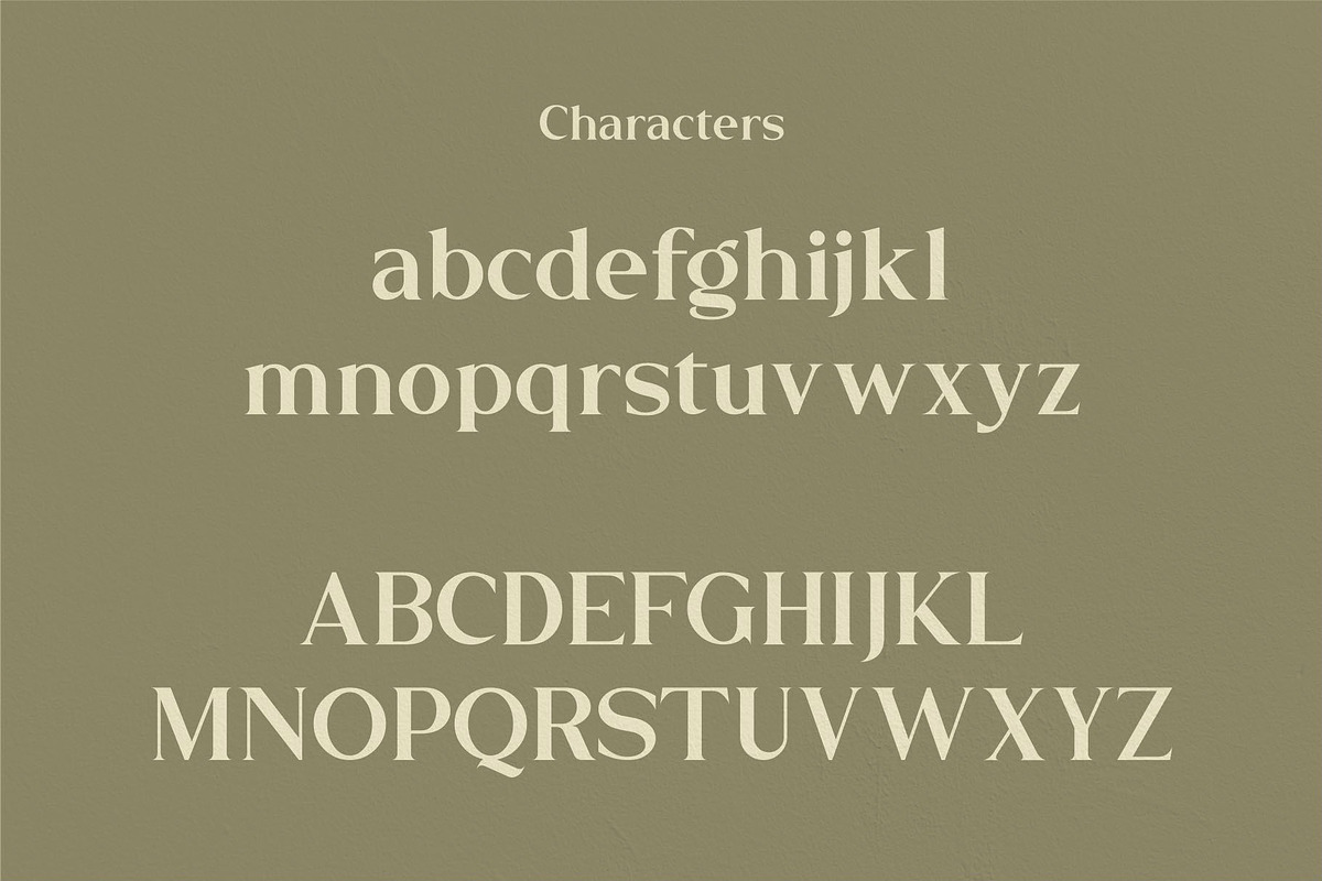 Flamingo, a Serif Font by Kleffont Studio (Photo 9 of 11)