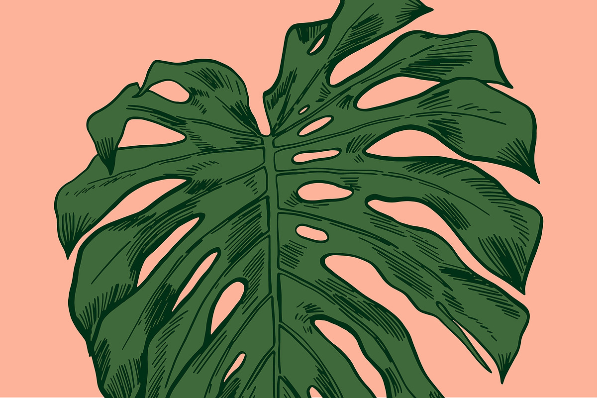 MONSTERA LEAVES, a Decorative Illustration by Tanya Akhmett (Photo 6 of 8)