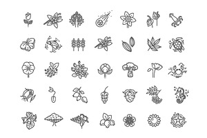 Plants Vector Icons, an Outline Icon by Tettygreen