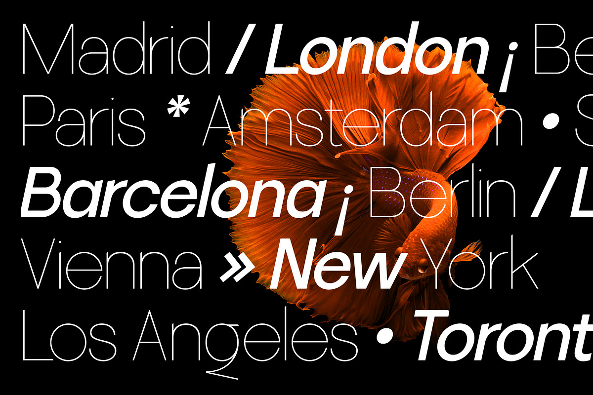SLTF La Villa - Neo-Grotesk Typeface, a Sans Serif Font by SilverStag Type Foundry (Photo 5 of 20)