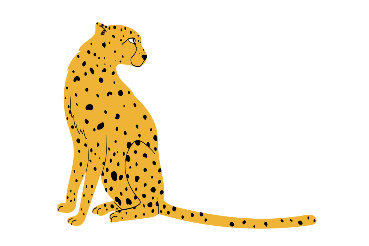 Cheetah Vector Pack, an Animal Illustration by Brunch Club Design (Photo 5 of 6)